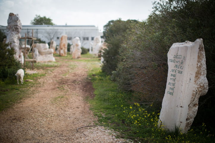 טיול לגליל הפורח דרך עדשת המצלמה