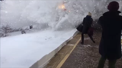 מראה מדהים ביופיו