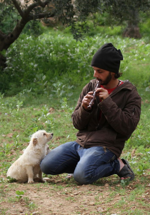 סוסים דוהרים בחוות גמלא שבצפון • צפו