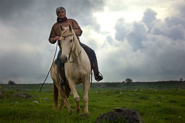 סוסים דוהרים בחוות גמלא שבצפון • צפו