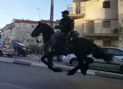 צפו: הסוסים מבריחים את מפגיני 'הפלג הירושלמי'