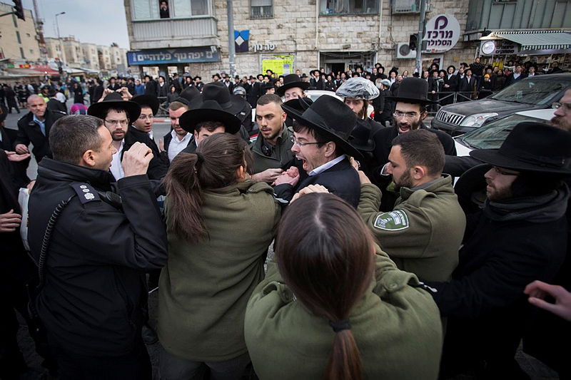 היכן שנכשלו הסוסים, הזרנוקים והשוטרות - יצליחו הכלבים // דוד רוזנטל
