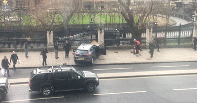 הטיפול בפצועי הדריסה על הגשר