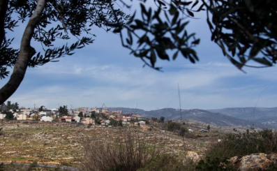 בדרך לגירוש: 4 אנרכיסטים זרים עוכבו לחקירה בשומרון