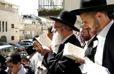 ברכת האילנות של הגאון רבי ראובן אלבז. צפו