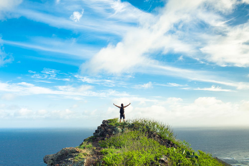 מניתוח לב לפסגת הקילימנג'רו. אילוסטרציה