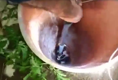 תיעוד דרמטי: חילוץ פעוט מבור בעומק ארבעה מטרים