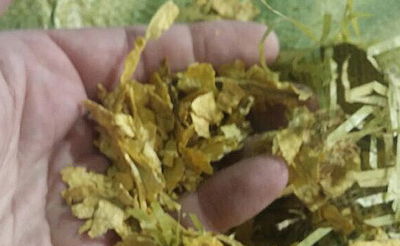 סוכל ניסיון הברחה של כ-5 טון טבק. תיעוד