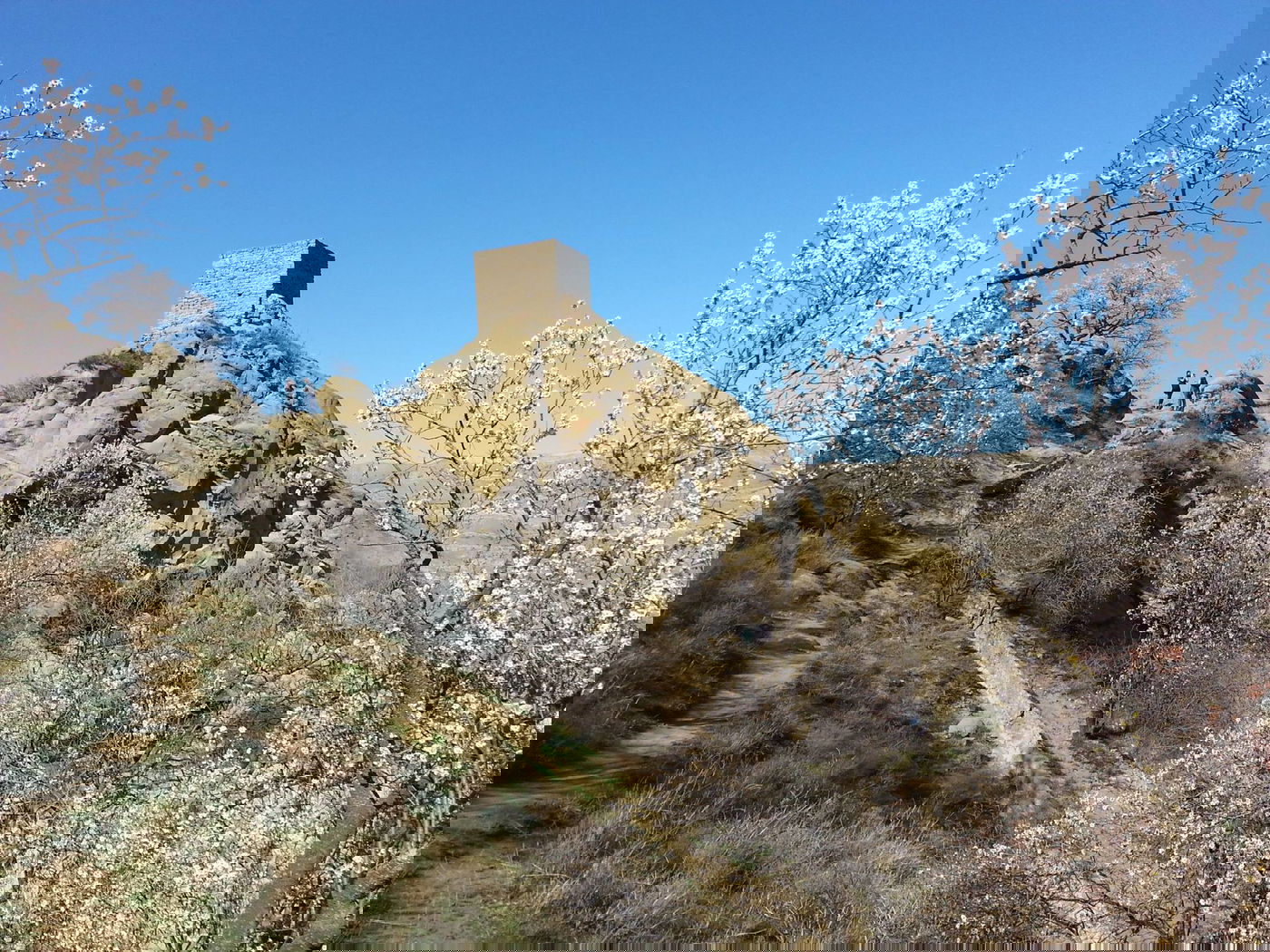 טיול לגיאורגיה הקסומה דרך עדשת מצלמה