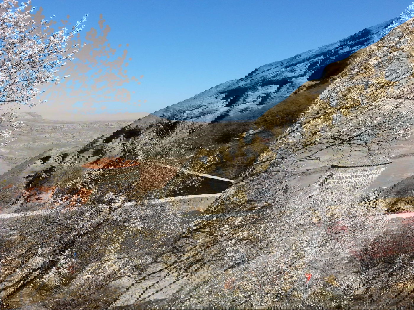 טיול לגיאורגיה הקסומה דרך עדשת מצלמה