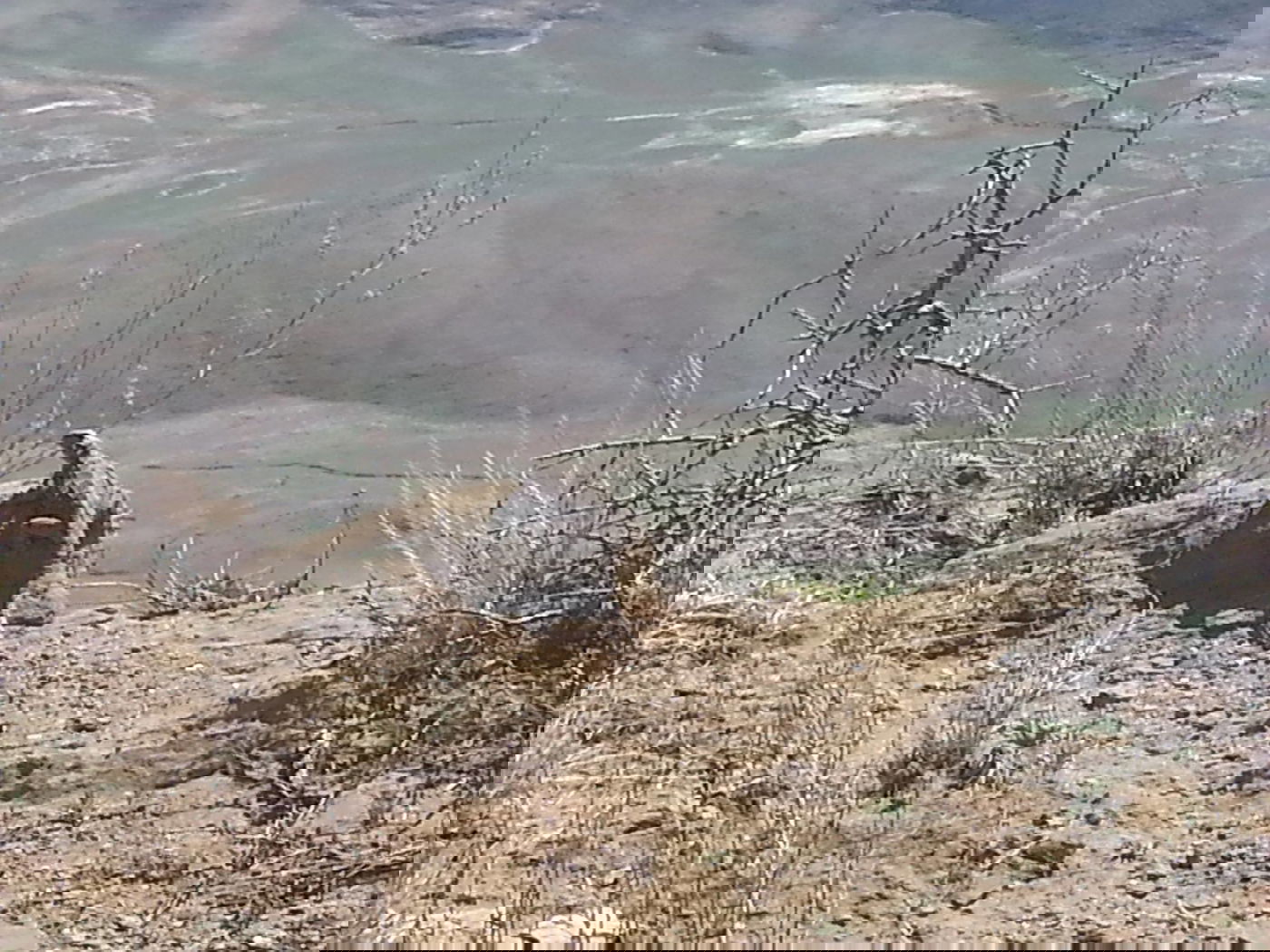 טיול לגיאורגיה הקסומה דרך עדשת מצלמה