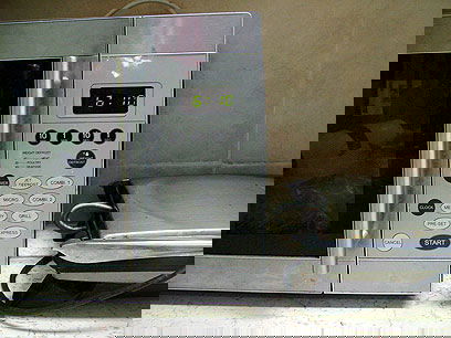 מיקרוגל וטוסטר. אילוסטרציה