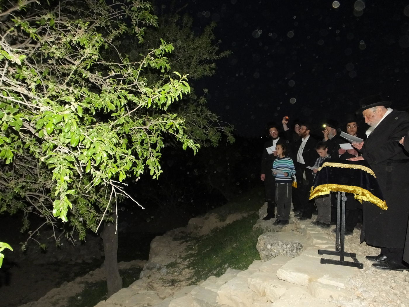 הרבי מקופישניץ בברכת האילנות ובמים שלנו. תיעוד