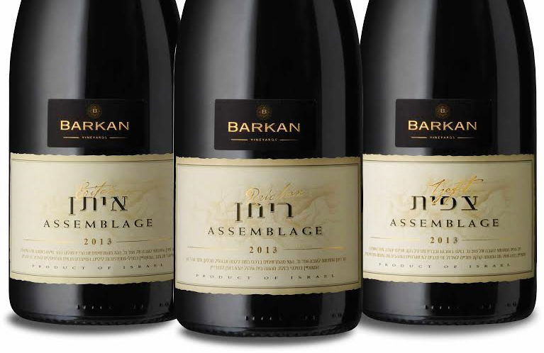 סדרת Assemblage החדשה של יקבי ברקן