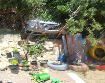 הרכב בתוך הגן