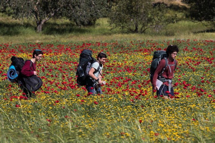 אביב הגיע פסח בא: עמק האלה בצבעים