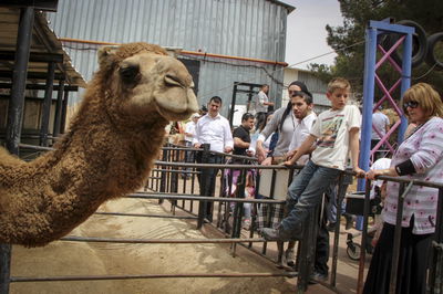 תיירות גוש עציון בחול המועד אילוסטרציה