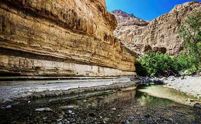 חילוץ הגופה בשטח