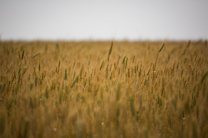 התחזית: מעונן חלקית והתחממות נוספת