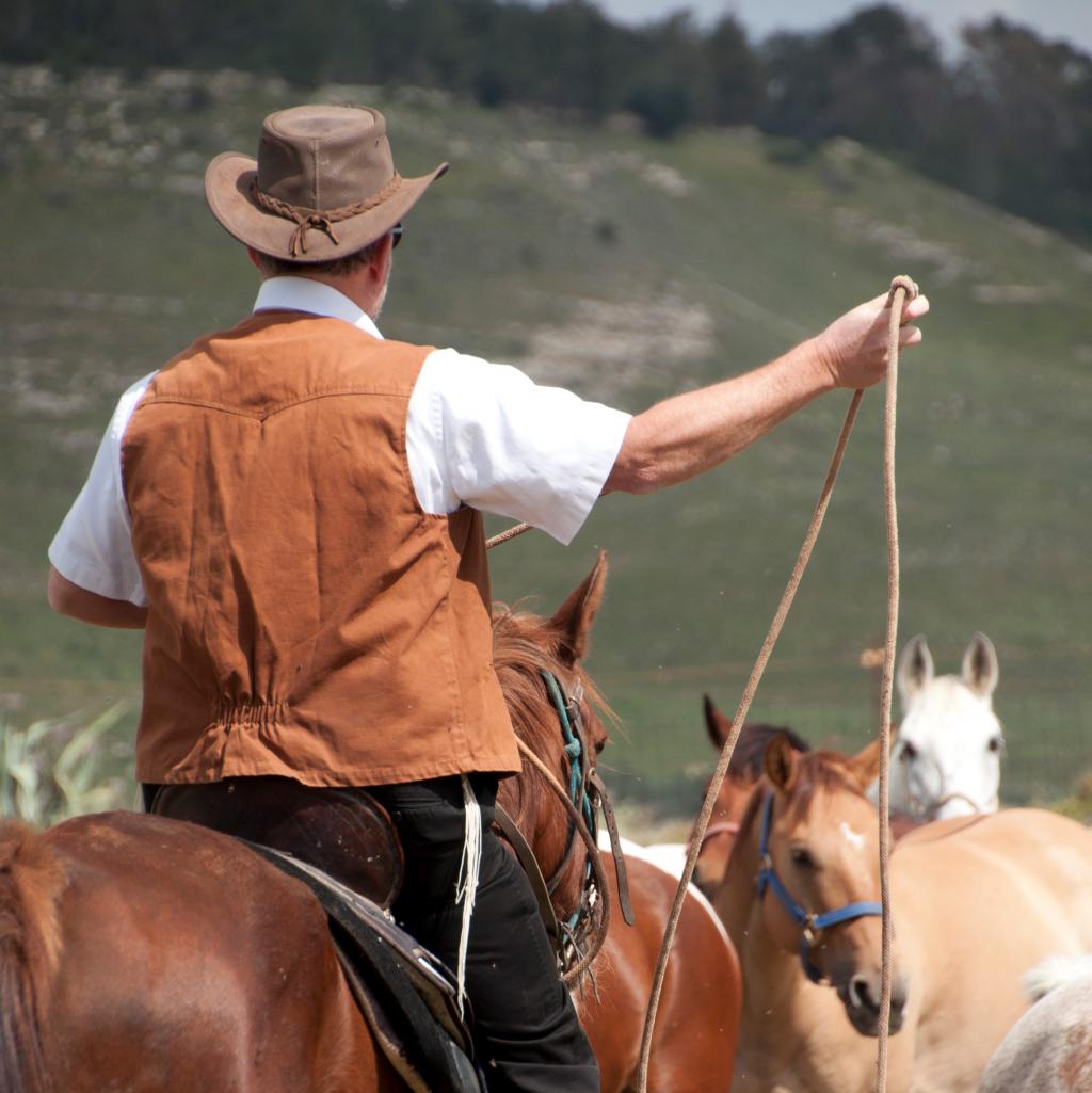 לימודים עם נשמה: רכיבה טיפולית במרכז רטורנו.