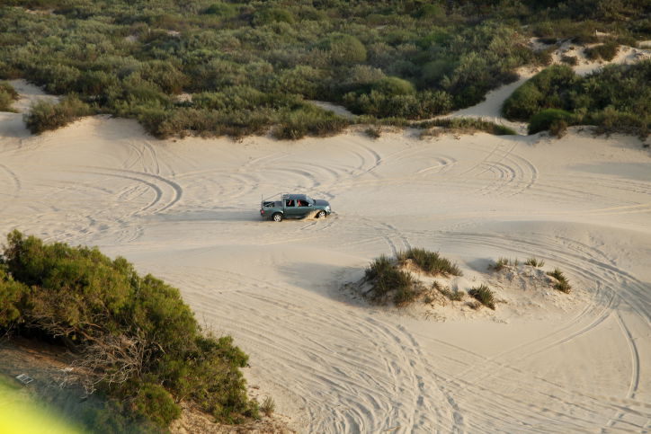 אילוסטרציה