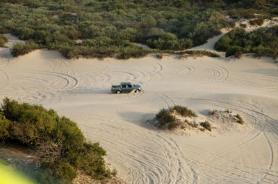 אילוסטרציה