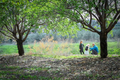 התחזית: השרב מתחיל היום, חם מהרגיל