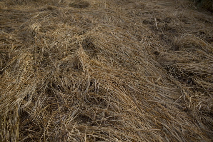 סיור דרך עדשת המצלמה לעמק יזרעאל