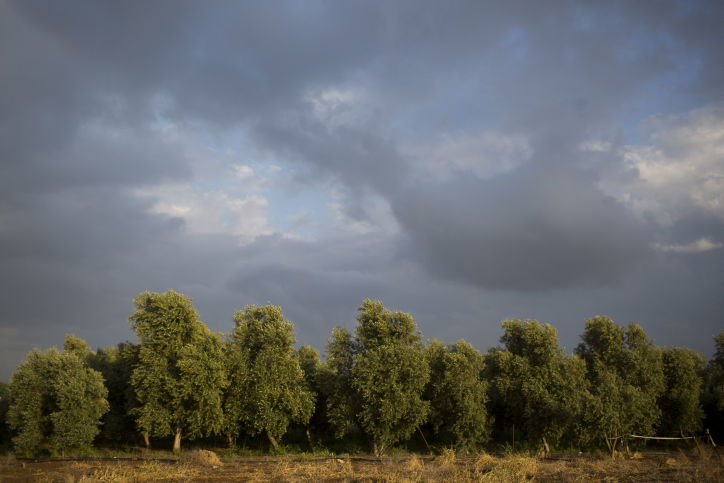 סיור דרך עדשת המצלמה לעמק יזרעאל