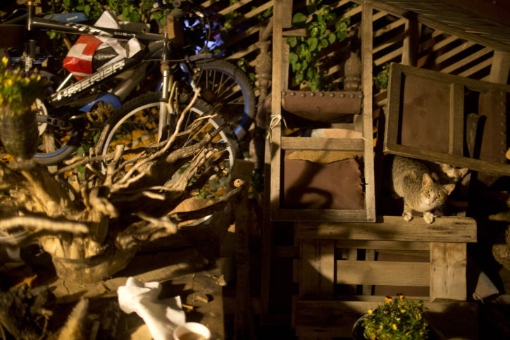 סיור דרך עדשת המצלמה לעמק יזרעאל