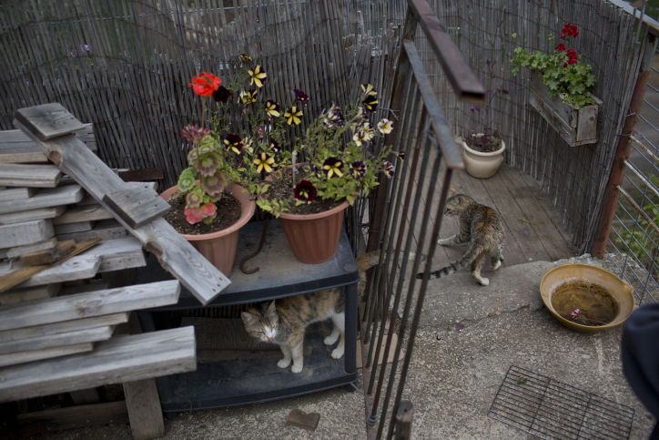 סיור דרך עדשת המצלמה לעמק יזרעאל