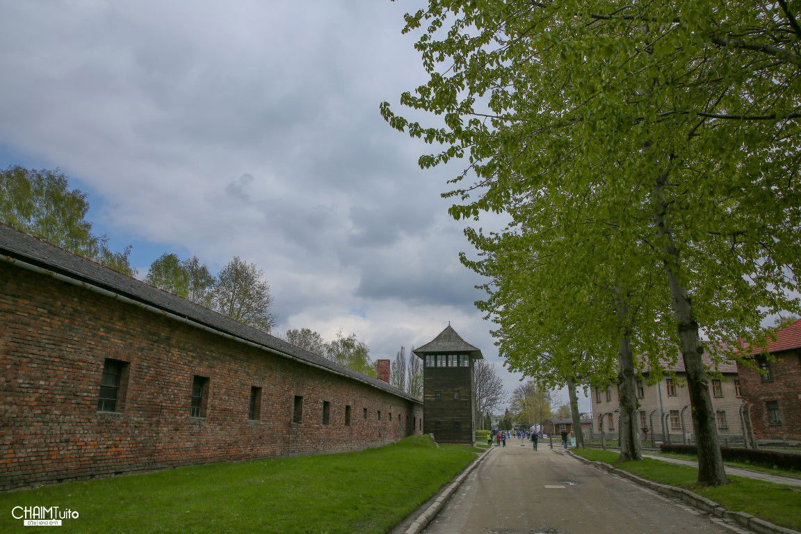 גלריה מסכמת: אלפים במצעד החיים בפולין