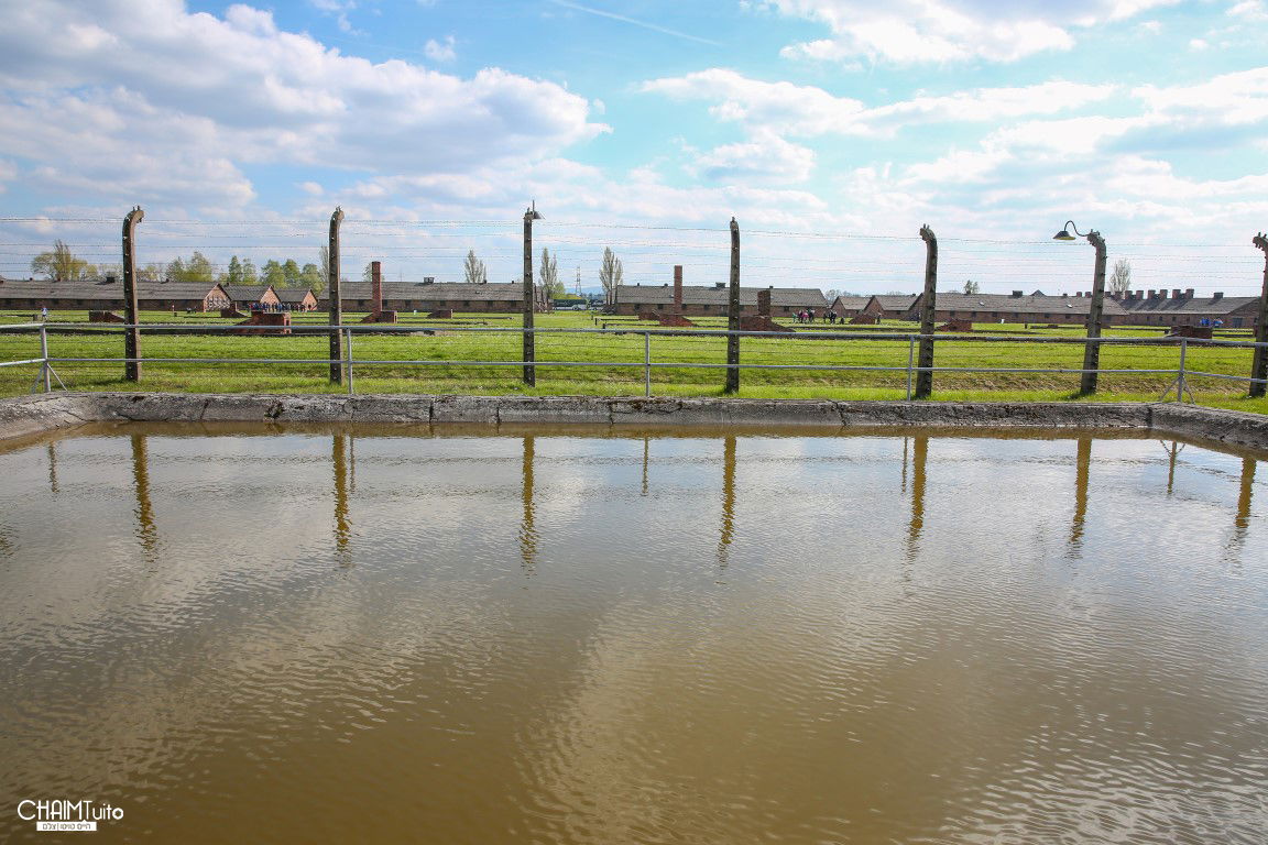 גלריה מסכמת: אלפים במצעד החיים בפולין