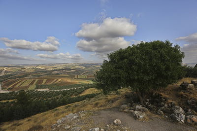 התחזית: ירידה במידות החום ומעט אביכות