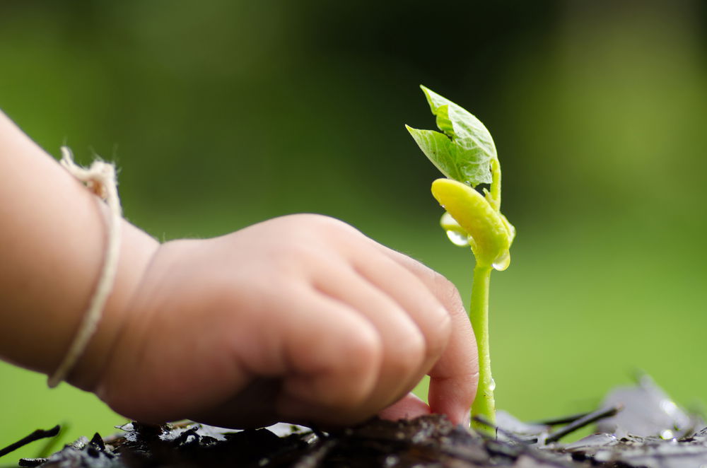 השפעה על קצב הגדילה של הילד. פדיאשור קומפליט. אילוסטרציה