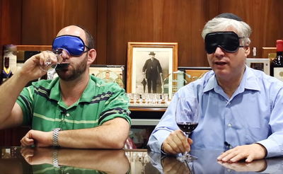 צפו בניסוי: מומחי יין יצליחו לזהות אותו בלי לראות?