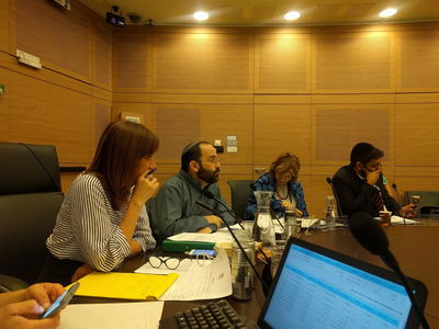 נדחתה ההצבעה על מינוי אישה למנכ"לית בתי הדין