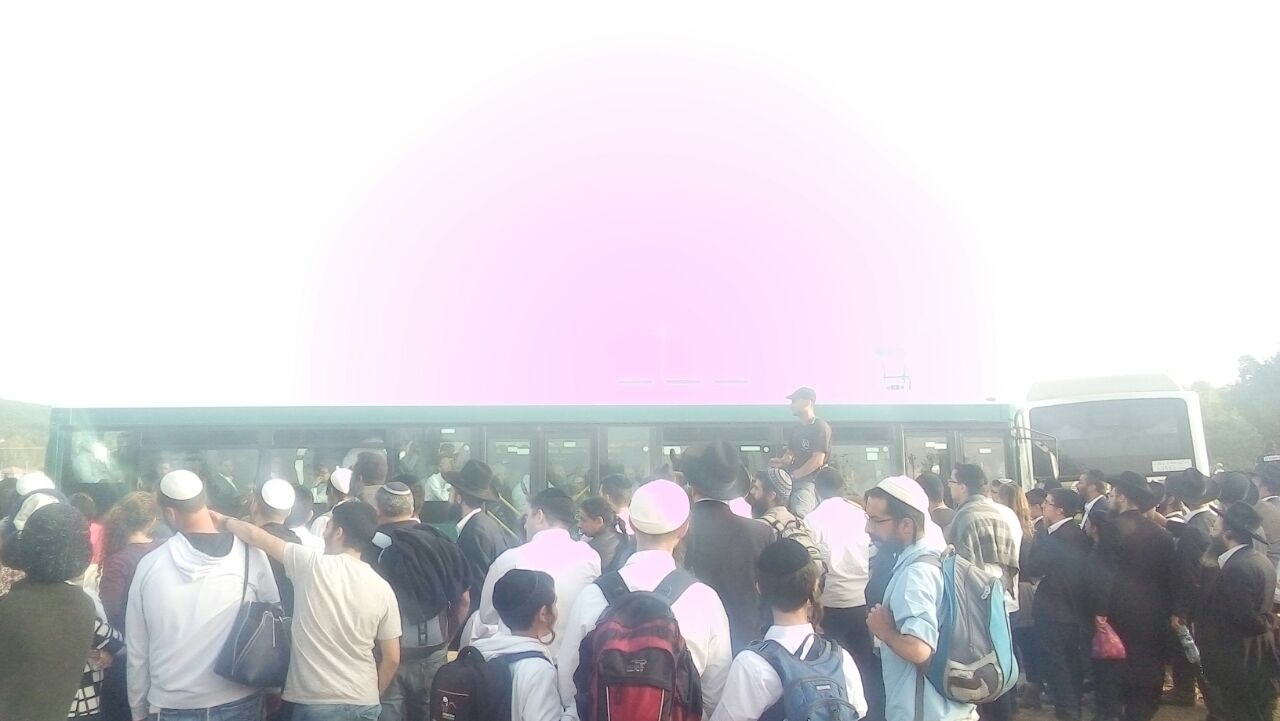 ההמונים בחניונים