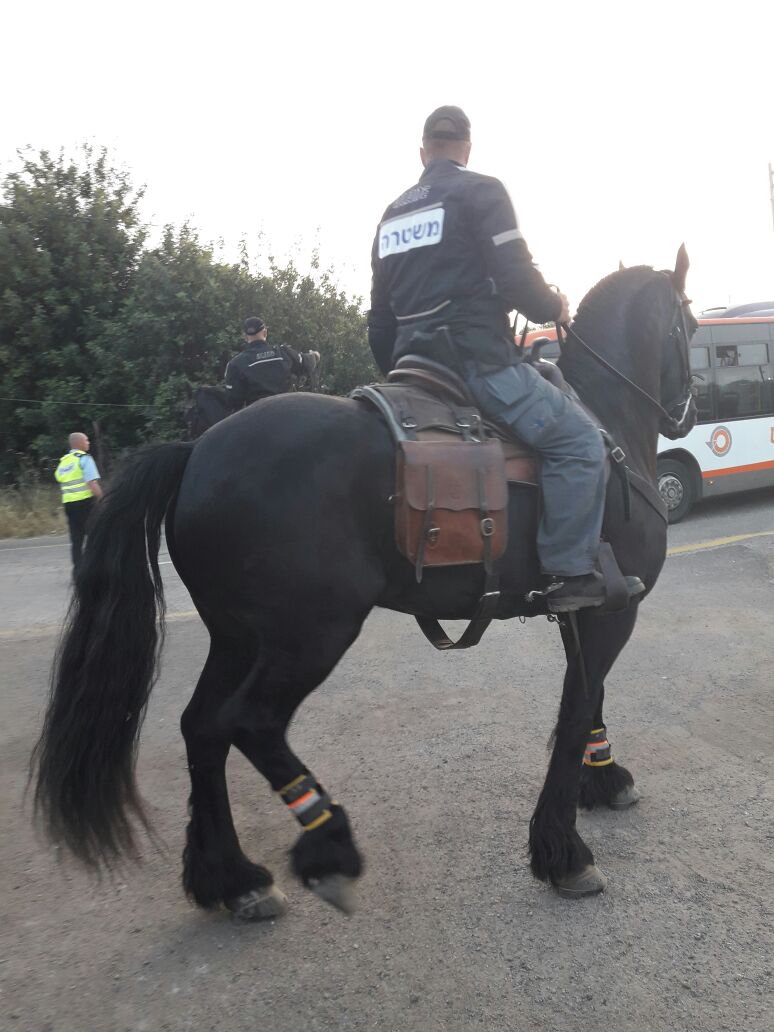 הקריסה בחניונים