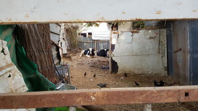 המתחם המדובר