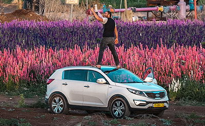 מרהיב במיוחד: שדה פרחים בעמק יזרעאל