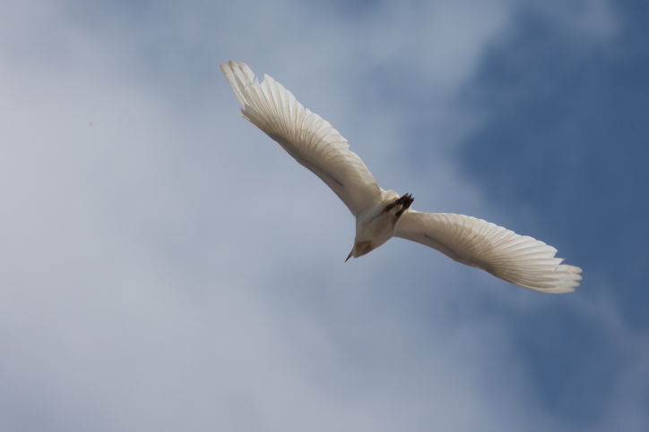 התחזית: עלייה בטמפרטורות, רגיל לעונה