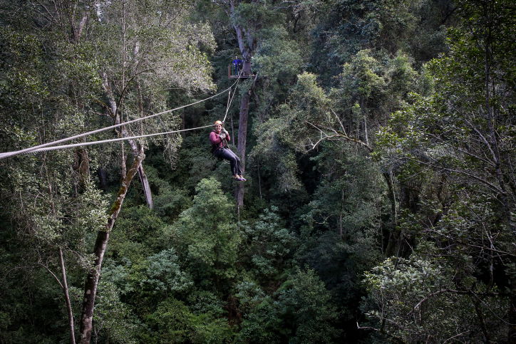 דרום אפריקה ארץ הנופים המרהיבים • גלריה