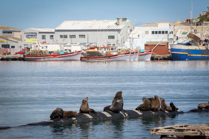 דרום אפריקה ארץ הנופים המרהיבים • גלריה