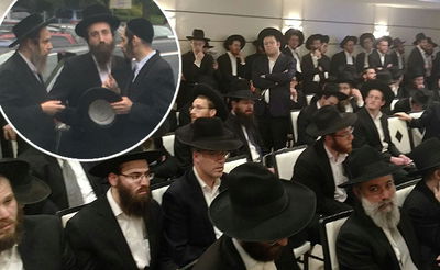 שטרן, וואזנר ושכטר