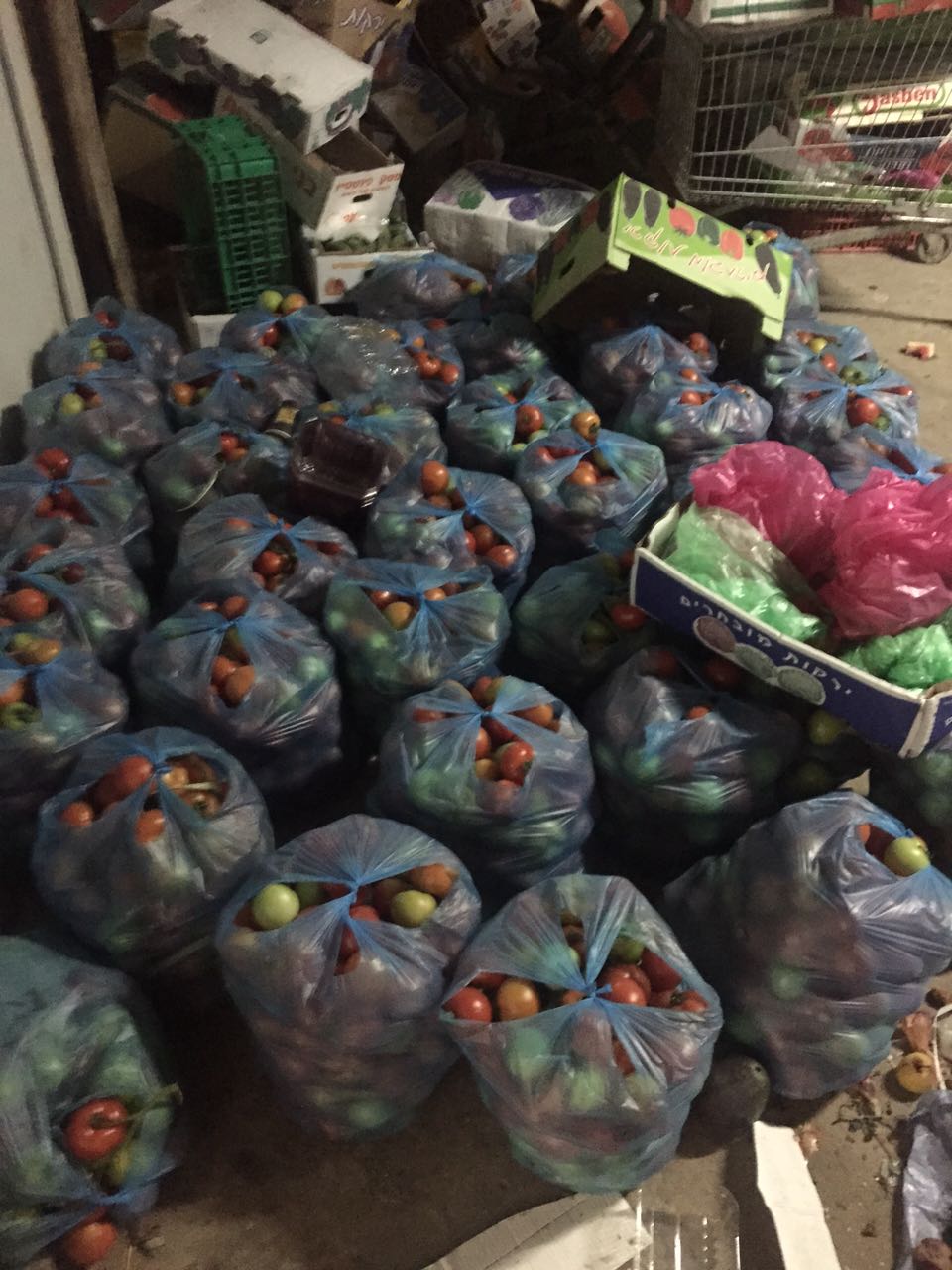 אב ובנו גנבו סחורה חקלאית בדרום ונעצרו