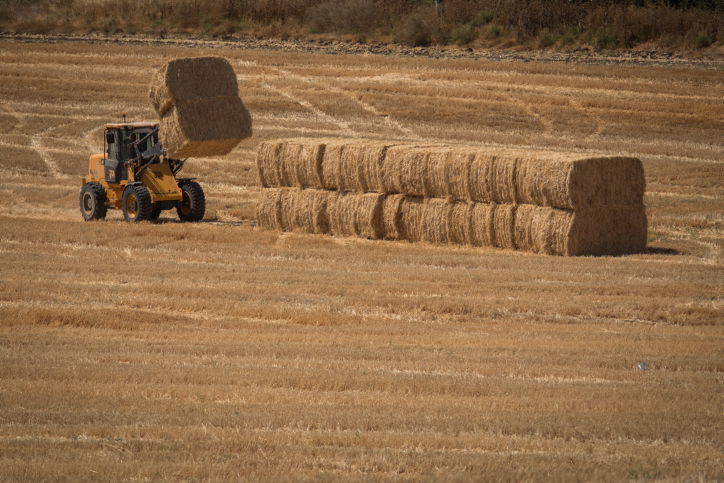 התחזית: עליה בטמפרטורות, חם מהרגיל