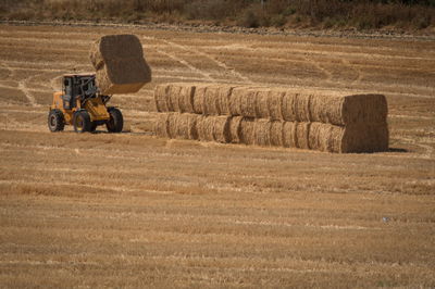 התחזית: עליה בטמפרטורות, חם מהרגיל