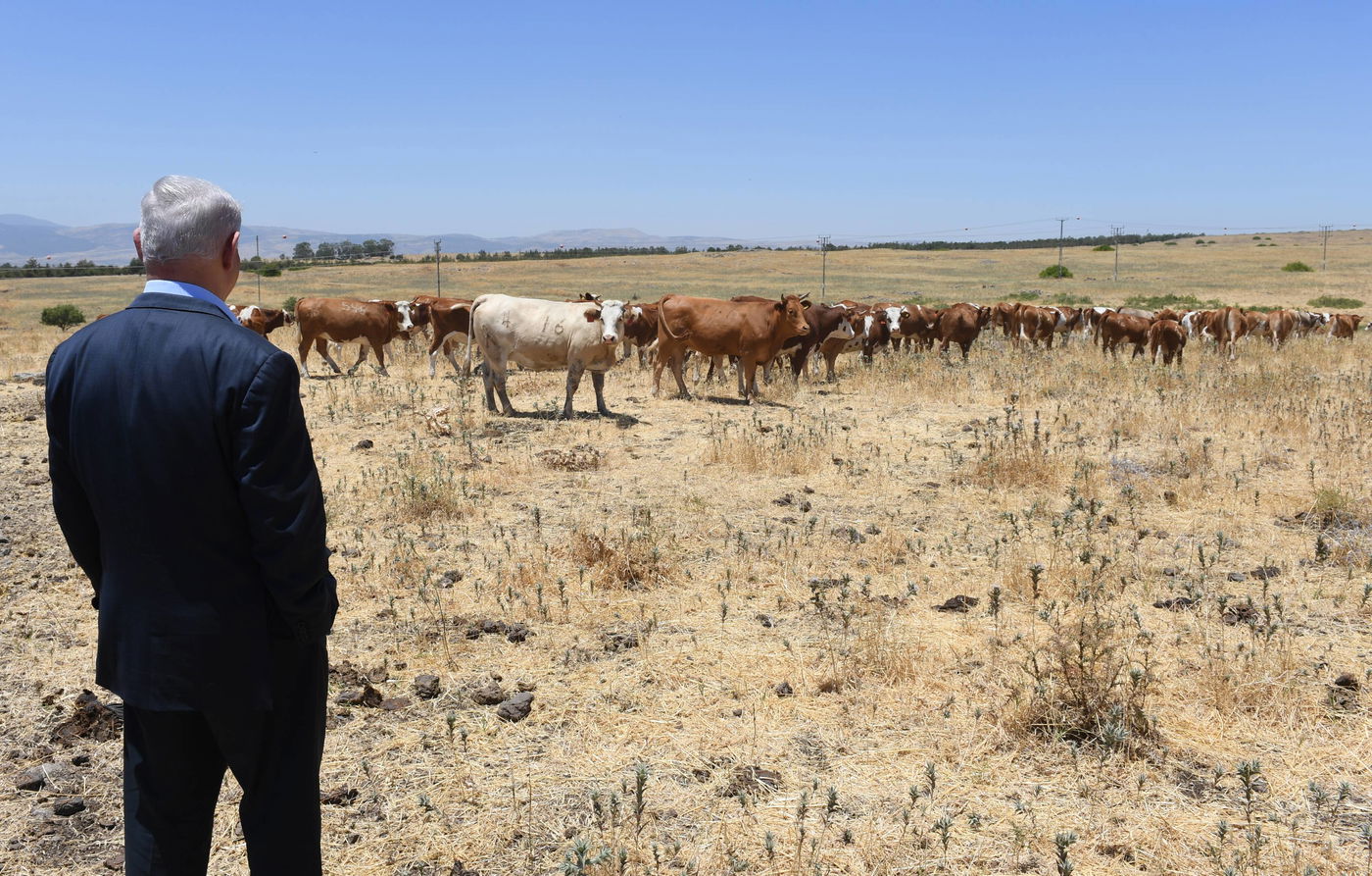 צפו: נתניהו סייר בבית הכנסת העתיק של קצרין וברמת הגולן
