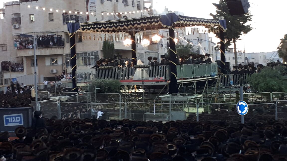 תיעוד ראשון: נכדת הרבי מבעלזא התחתנה